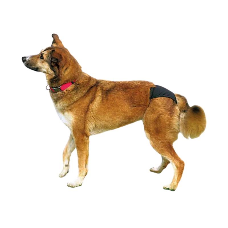 Bombacha Higiénica Sanitaria Perros Mascotas Cachorros