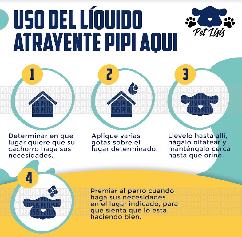 Liquido Atrayente Pipi Aqui Perros Cachorros Mascotas Porta