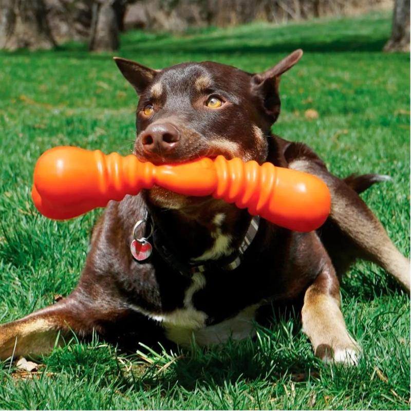Juguete Para Perro Hueso Squeakstix Wigglerz Large Kong
