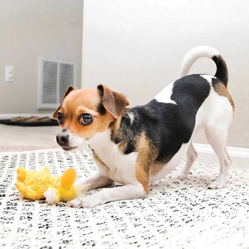 Juguete Peluche Dr Noyz Duck Pato Xs Kong Mascotas Perro