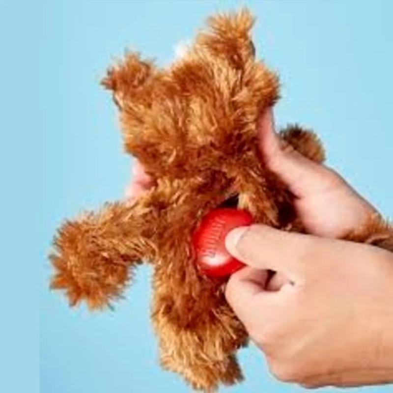 Juguete Peluche Dr Noyz Teddy Oso Xs Con Chifle Perros