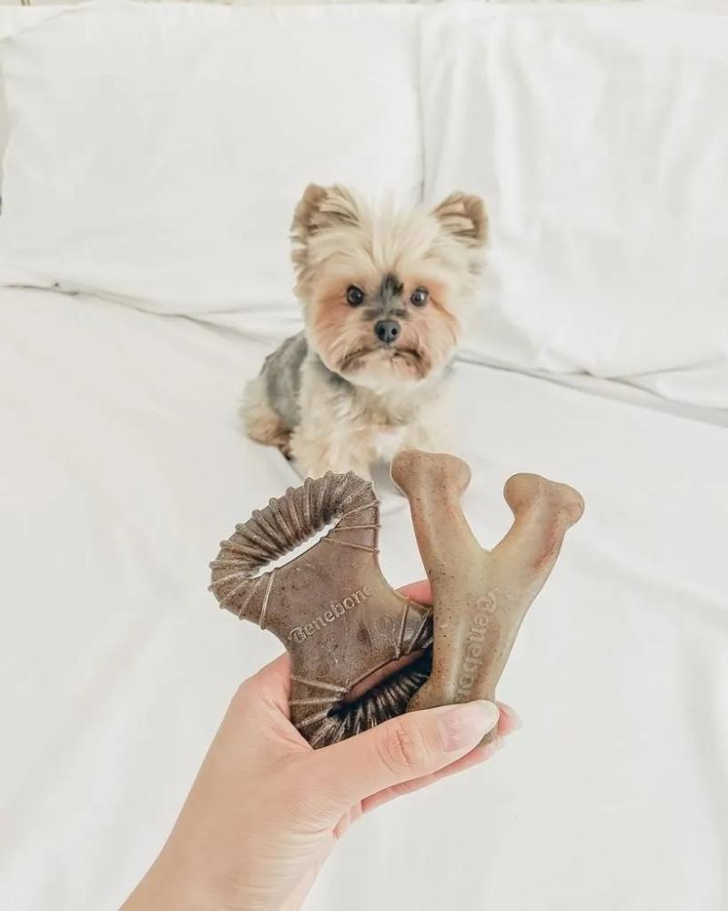 Hueso Dental Masticable Benebone Pack Wishbone/chew Sabor Bacon Perros