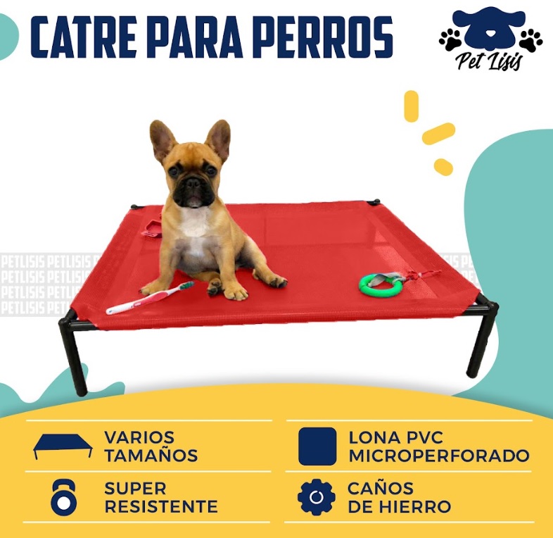 Catre Mediano Perros Cachorros Mascotas Bulldog