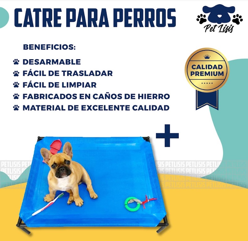 Catre Mediano Perros Cachorros Mascotas Bulldog