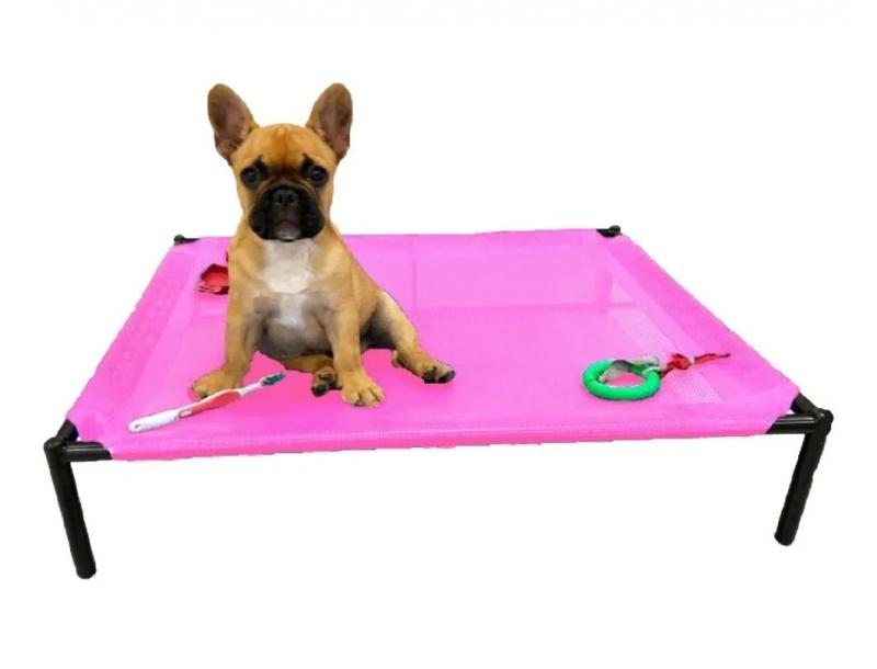 Catre Mediano Perros Cachorros Mascotas Bulldog