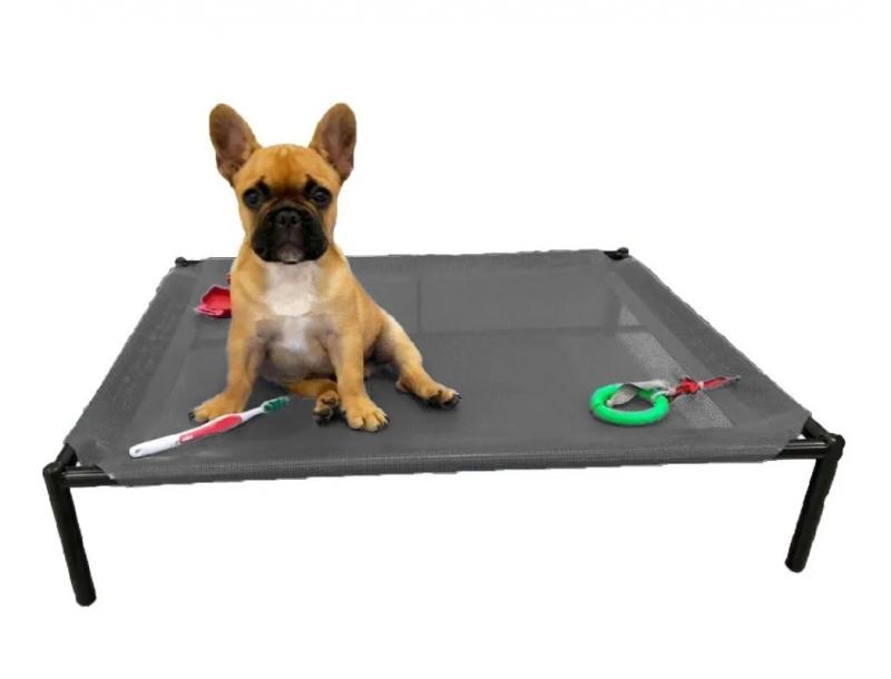 Catre Mediano Perros Cachorros Mascotas Bulldog