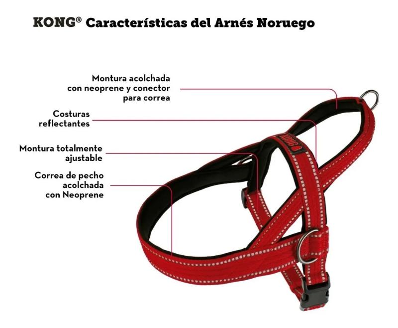 Arnes Pretal Noruego Kong Large Para Perros Mascotas