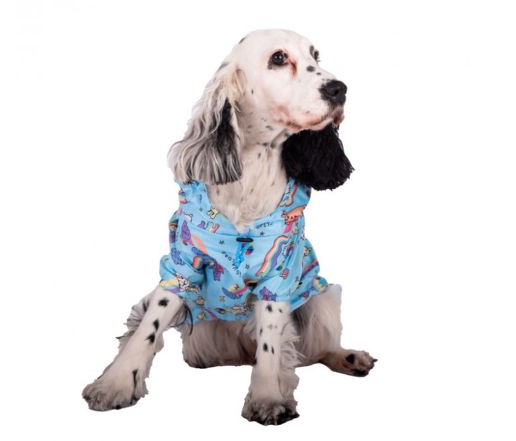 Piloto Impermeable Pride Ropa Perros Mascotas Cachorros
