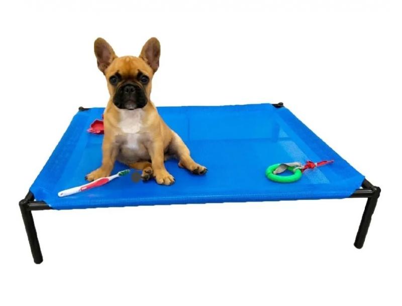 Catre Xl Perros Cachorros Mascotas Bulldog