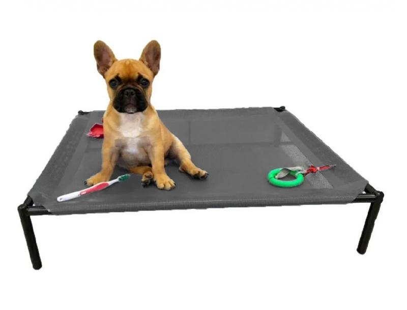 Catre Xl Perros Cachorros Mascotas Bulldog