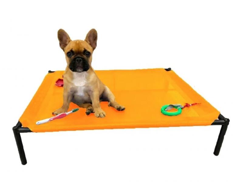 Catre Xl Perros Cachorros Mascotas Bulldog