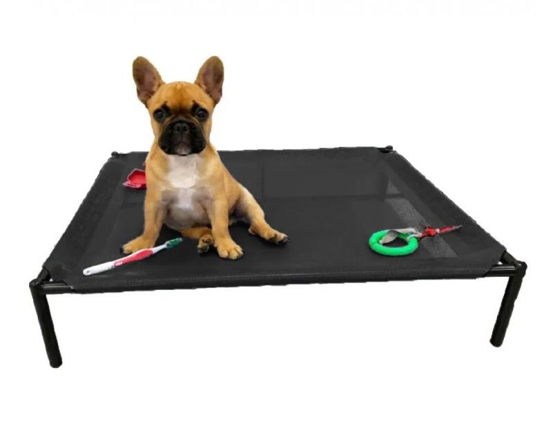 Catre Xl Perros Cachorros Mascotas Bulldog