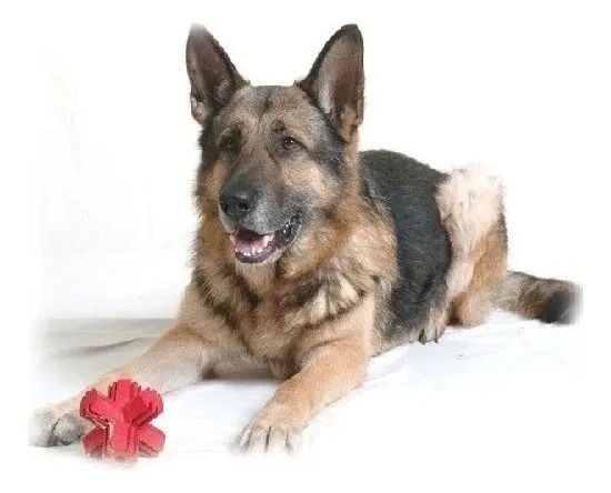 Juguete Para Perro Jump Jack Small Kong Mascotas