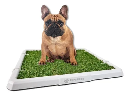 Bandeja Sanitaria Tonipets Mascotas Perros Cachorros