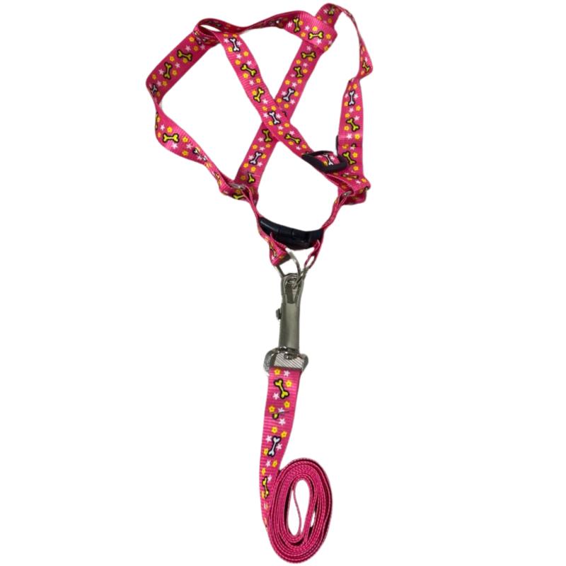 Arnes Pretal + Correa Diseños 20mm Perros Cachorros Mascotas