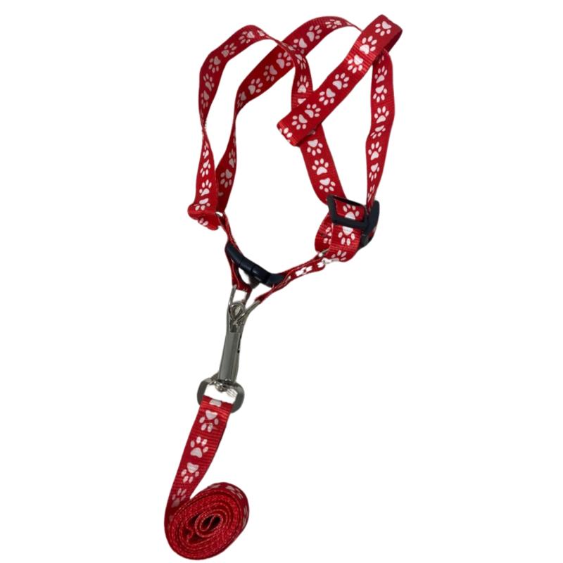 Arnes Pretal + Correa Diseños 20mm Perros Cachorros Mascotas