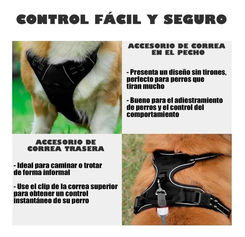 Arnes Pretal Anti Tirones L