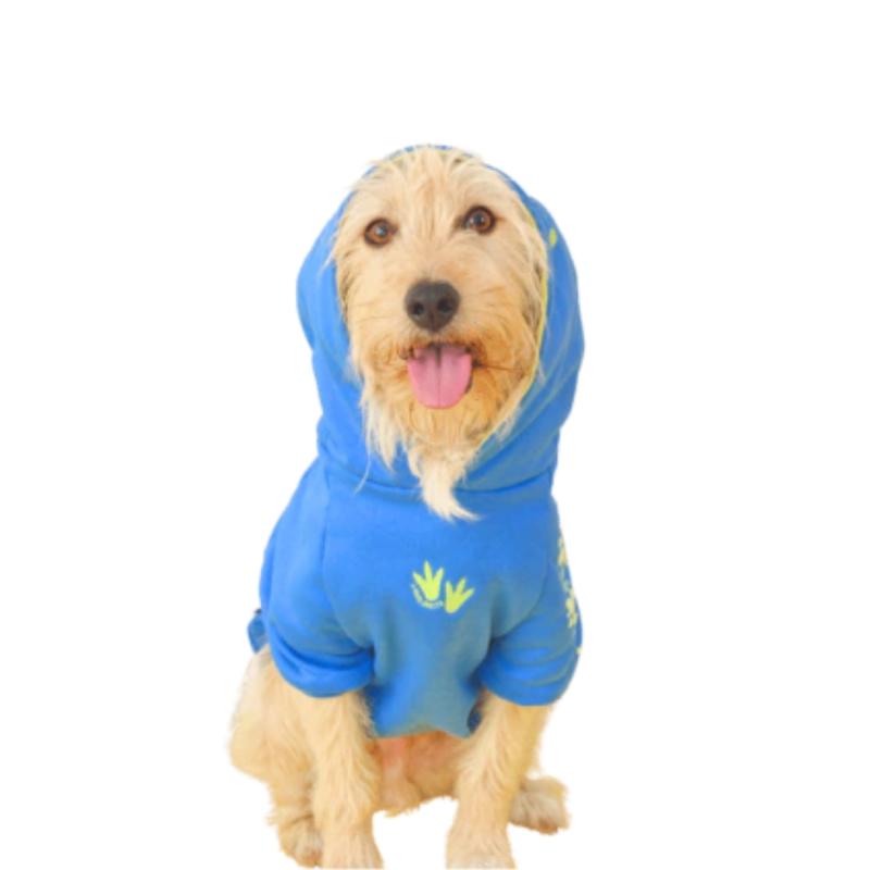 Ropa Para Perros Buzo Dino Capucha Cachorro Adulto Mascotas