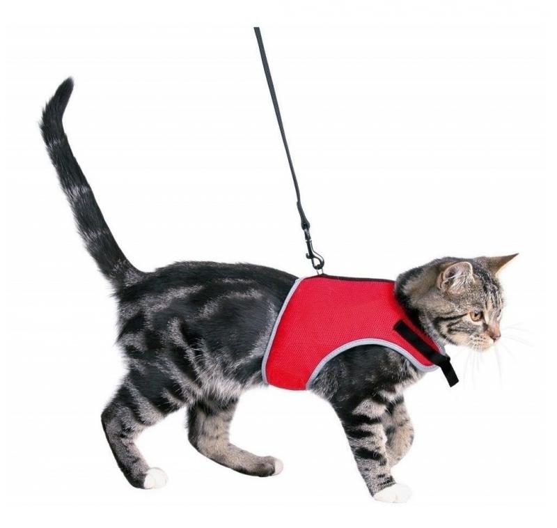 Arnes Gato Suave Ajustable + Correa Elastica Trixie