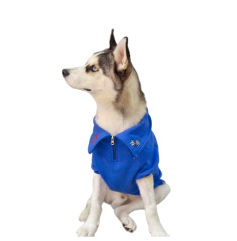 Ropa Para Perros Buzo F1 Azul Cachorros Mascotas Perros
