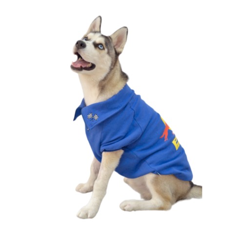 Ropa Para Perros Buzo F1 Azul Cachorros Mascotas Perros