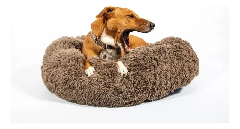 Cama Cucha Nordica Moises Eggys XL