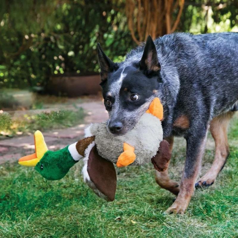 Juguete Peluche De Pato Kong Shakers Honkers Small Perros