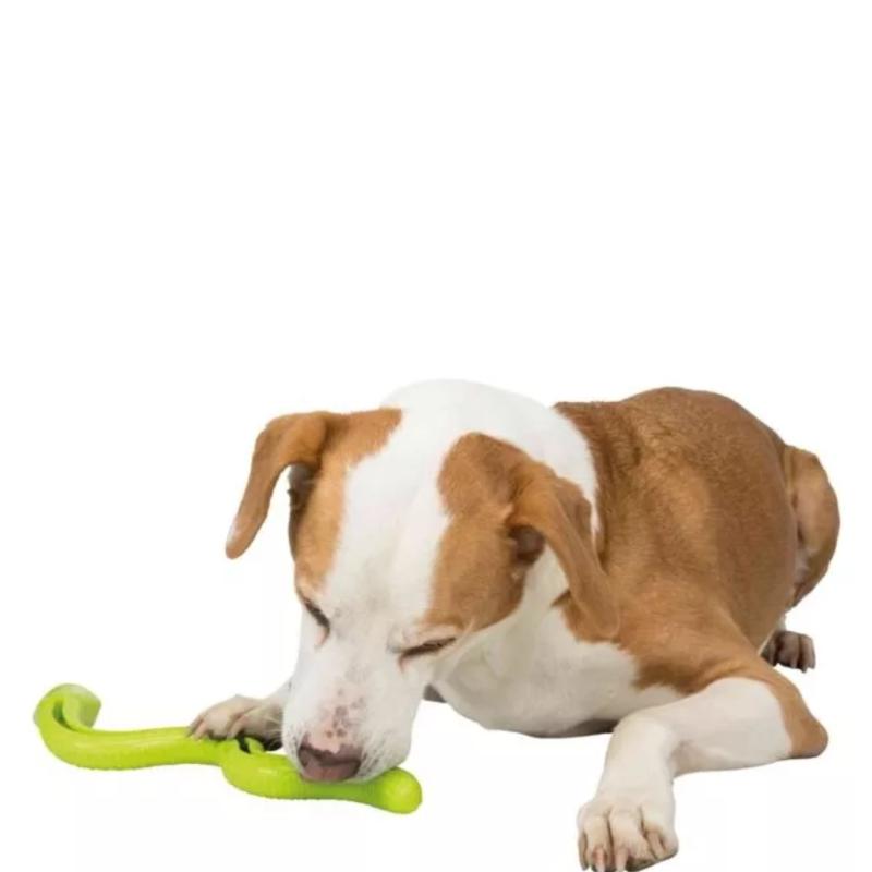 Juguete Dispenser Rellenable Snack Snake 18 Cm Perros