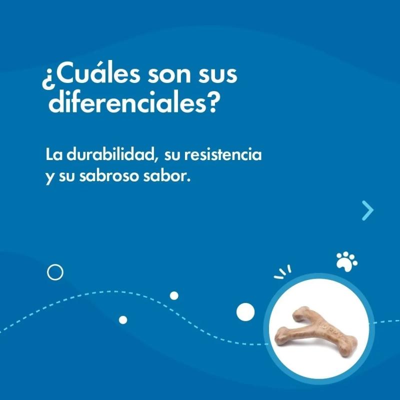 Hueso Dental Masticable Benebone Wishbone S Puppy Sabor Bacon Perros