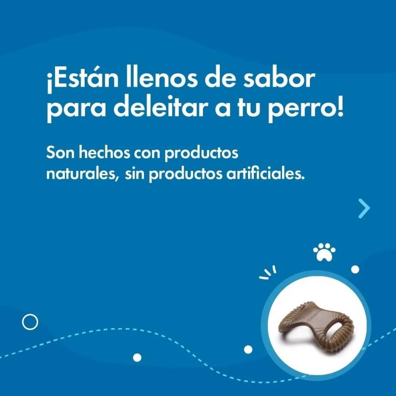 Hueso Dental Masticable Benebone Wishbone S Puppy Sabor Bacon Perros