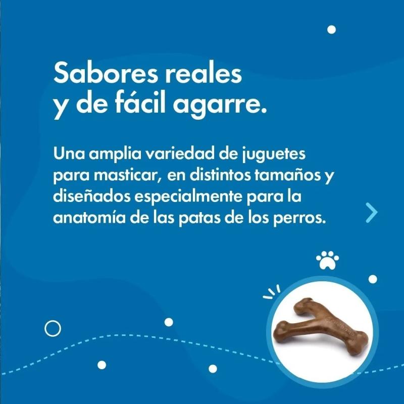 Hueso Dental Masticable Benebone Wishbone S Puppy Sabor Bacon Perros