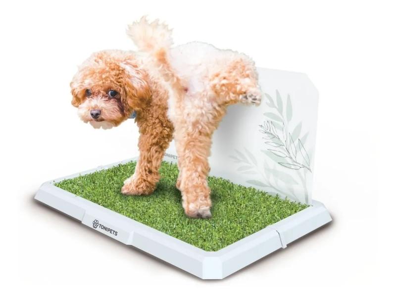 Bandeja Sanitaria Tonipets Mini C/acc Perro Cachorro Mascota