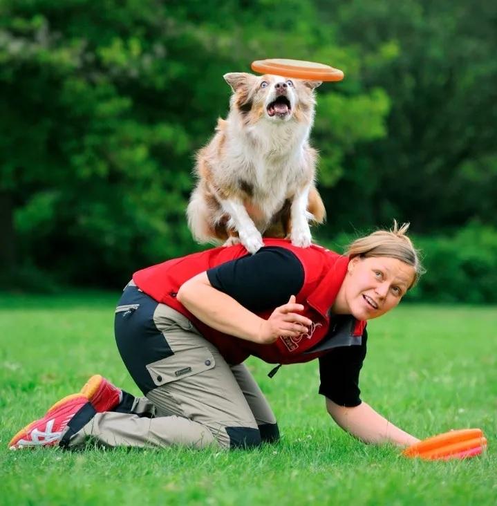 Juguete Frisbee Extra Resistente 23 cm Perros Cachorros Trixie