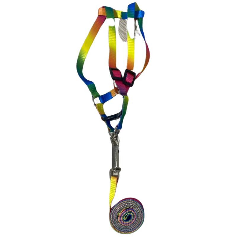 Arnes Pretal + Correa Diseños 10mm Perros Cachorros Mascotas