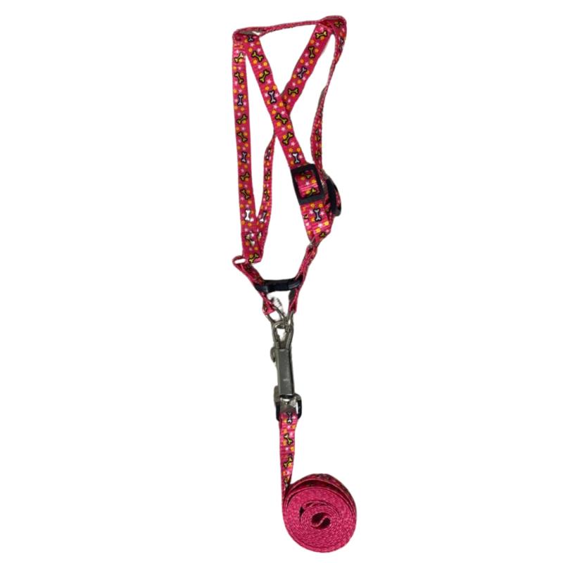 Arnes Pretal + Correa Diseños 10mm Perros Cachorros Mascotas