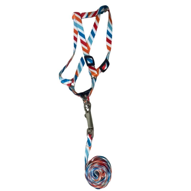 Arnes Pretal + Correa Diseños 10mm Perros Cachorros Mascotas