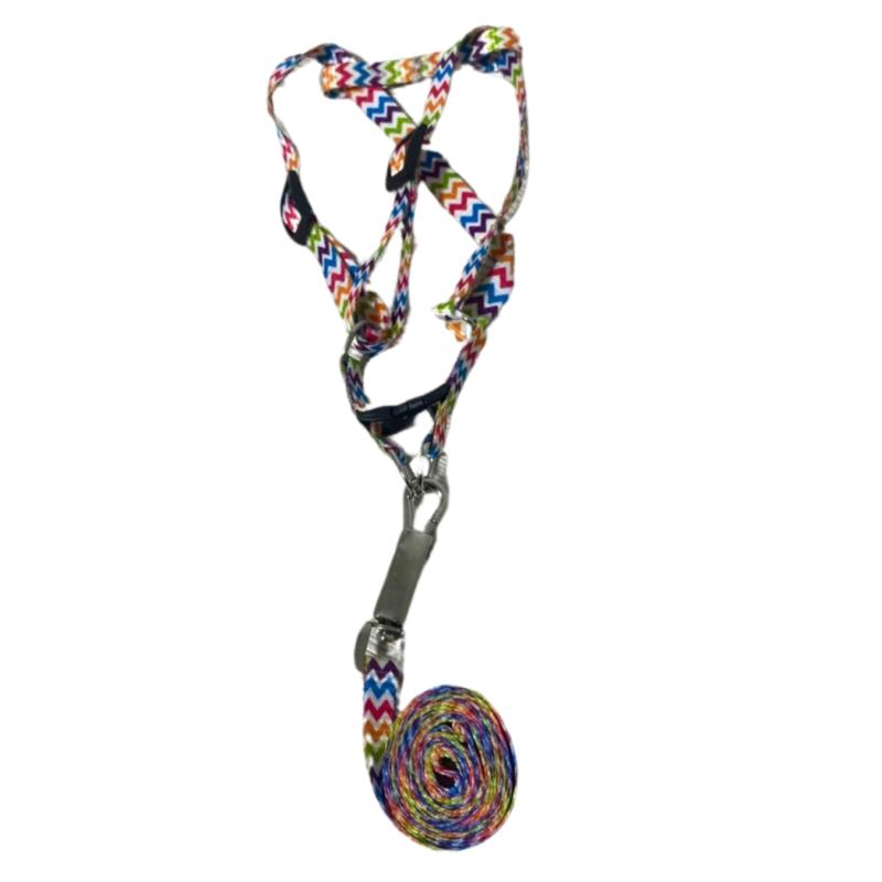 Arnes Pretal + Correa Diseños 10mm Perros Cachorros Mascotas