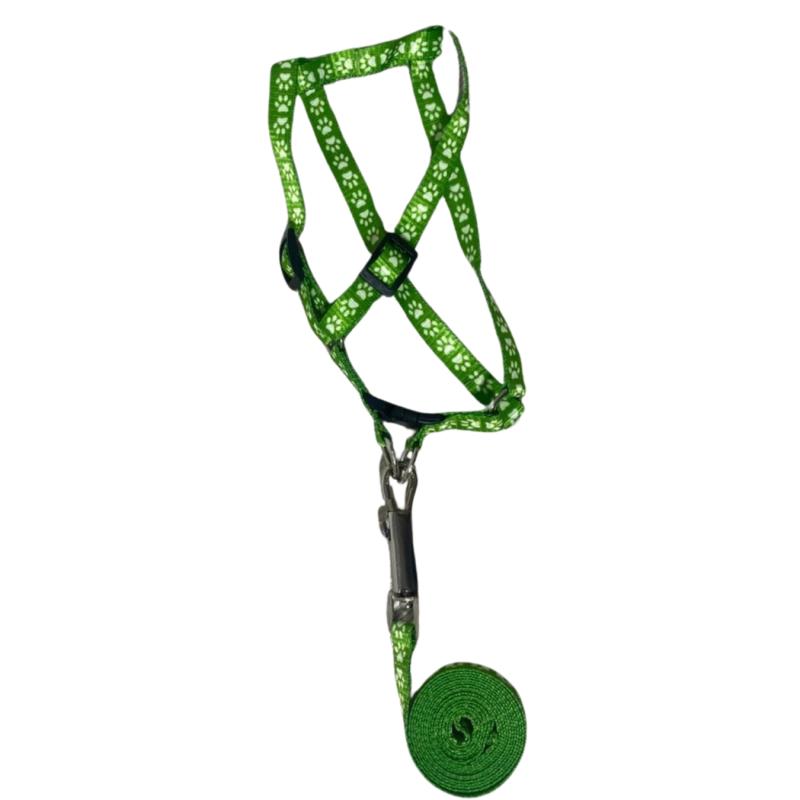 Arnes Pretal + Correa Diseños 10mm Perros Cachorros Mascotas