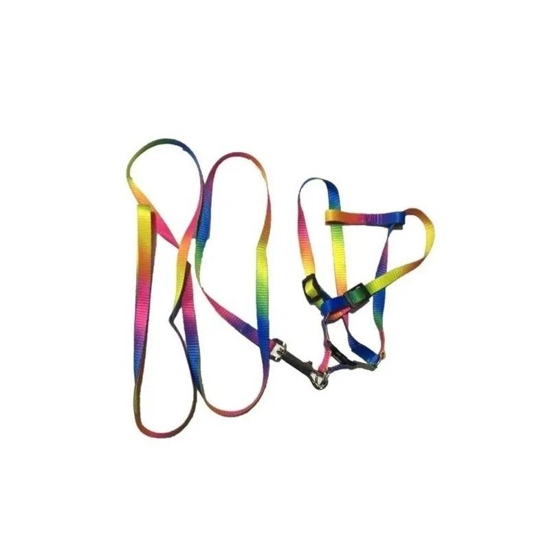Arnes Pretal + Correa Diseños 10mm Perros Cachorros Mascotas