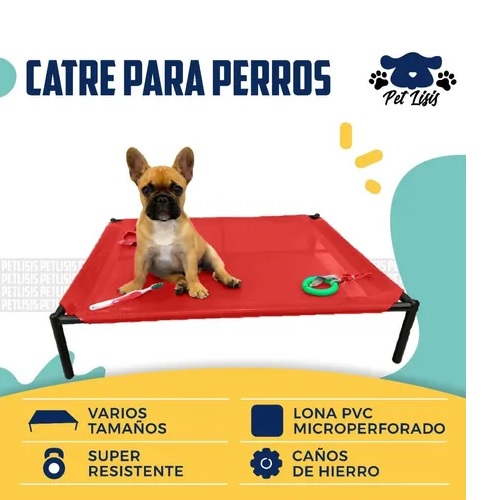 Catre Chico Perros Cachorros Mascotas Bulldog