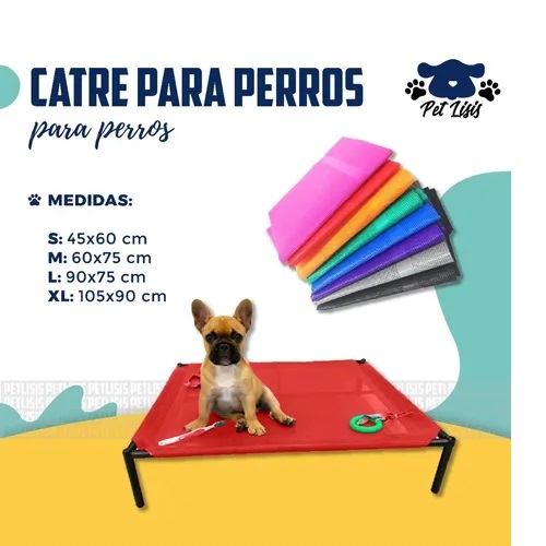 Catre Chico Perros Cachorros Mascotas Bulldog