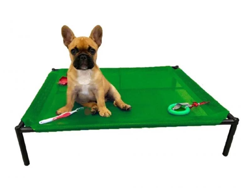 Catre Chico Perros Cachorros Mascotas Bulldog