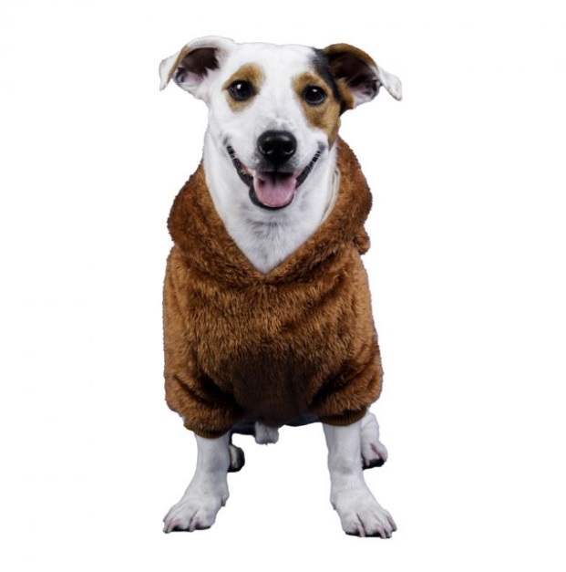 Ropa Para Perros Buzo Corderito Teddy Cachorros Mascotas