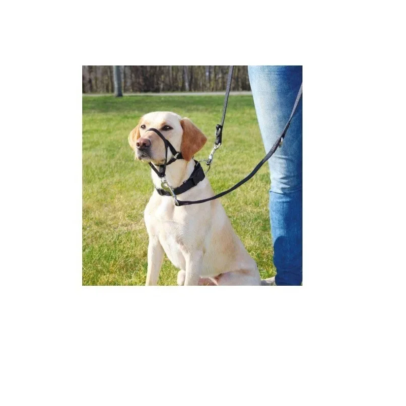 Arnes Bozal Anti Tirones Xl Perros Cachorros