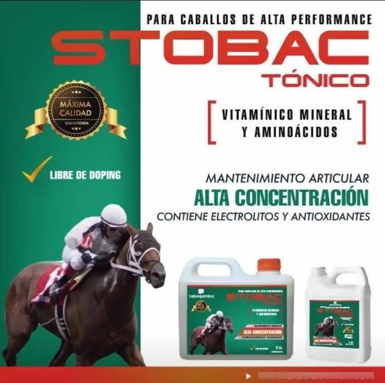 Suplemento Vitaminico Tonico Stobac 5lt Laboquimica Equinos