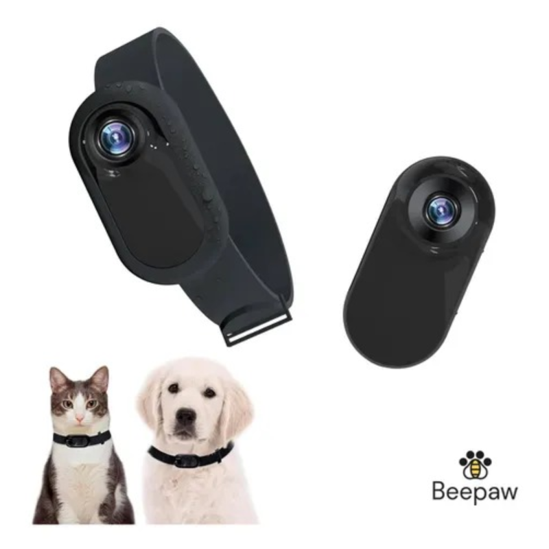 Collar C/ Camara Hd Integrada Beepaw
