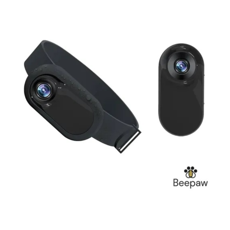 Collar C/ Camara Hd Integrada Beepaw