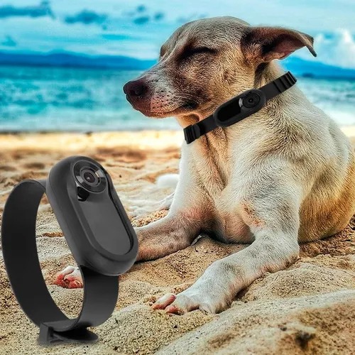 Collar C/ Camara Hd Integrada Beepaw