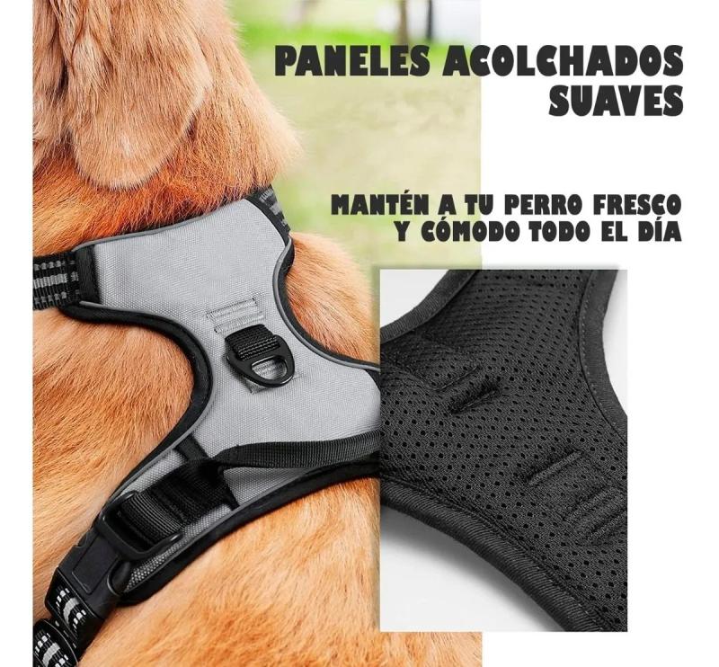 Arnes Pretal Anti Tirones S