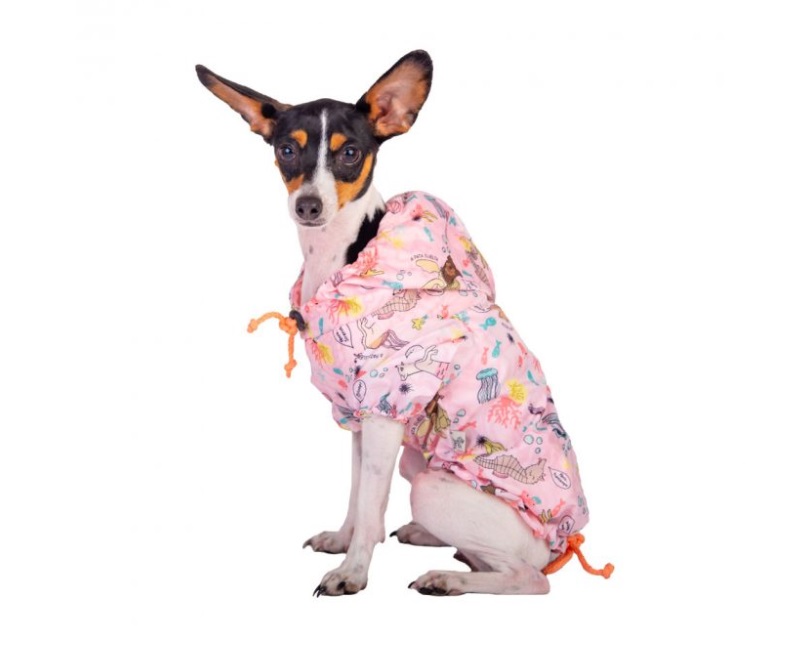 Piloto Impermeable Lamer Ropa Perros Mascotas Cachorros